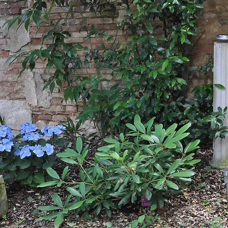 Bed & Breakfast Chambres D'hotes L'arbre D'or De Marc-aurele
